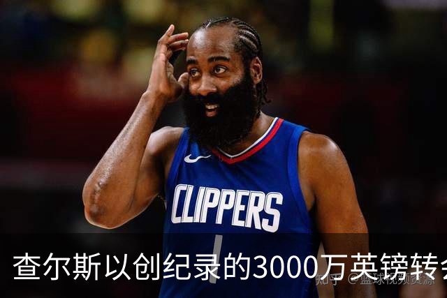 查尔斯以创纪录的3000万英镑转会，不为身价所累